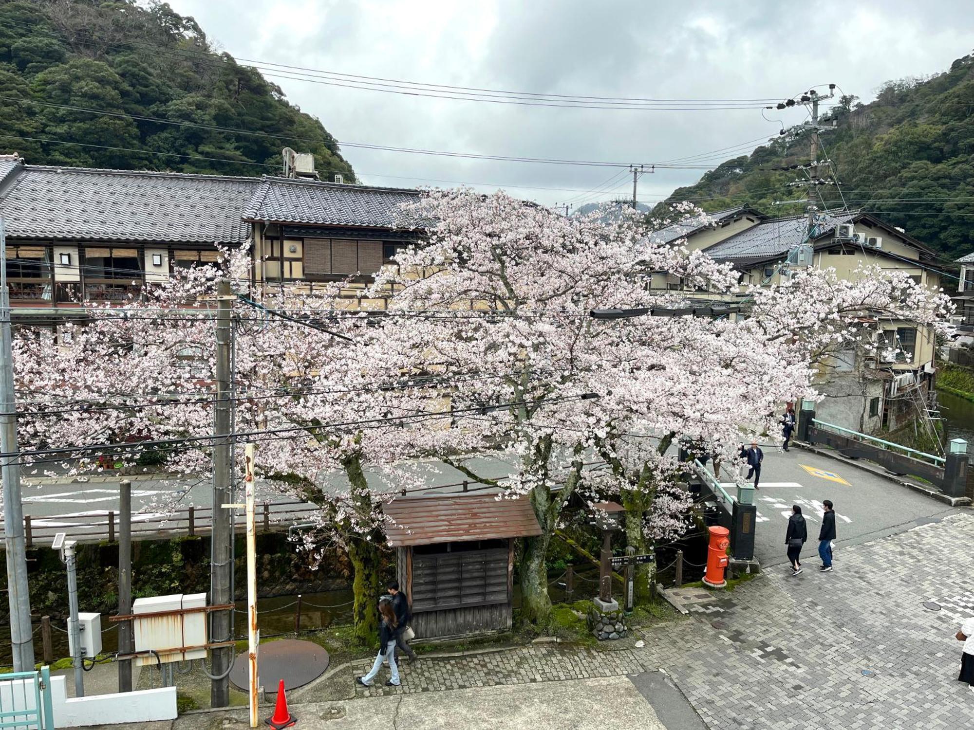 城崎温泉一棟貸し　旅宿yadokari Toyooka  Exterior foto