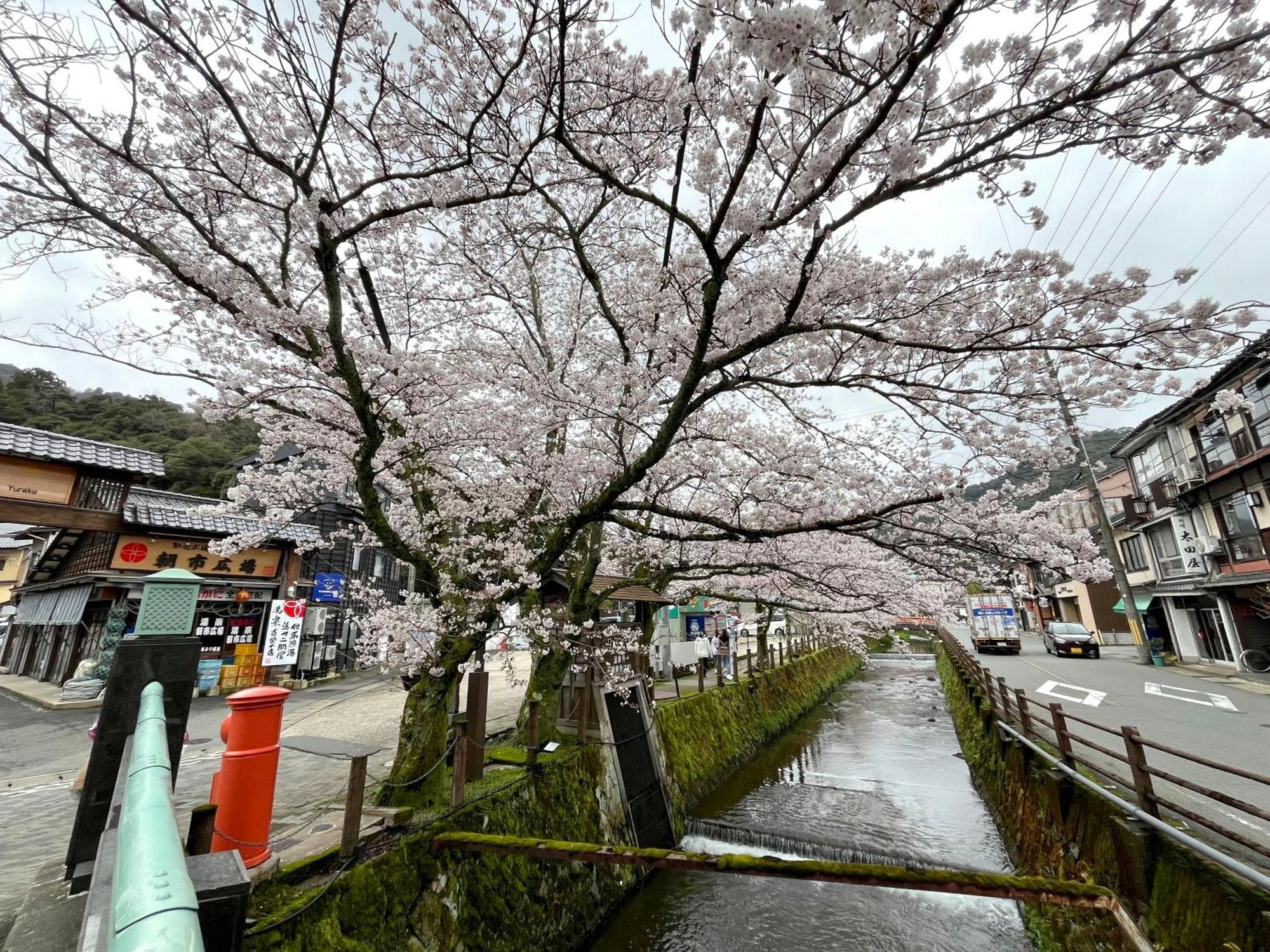 城崎温泉一棟貸し　旅宿yadokari Toyooka  Exterior foto